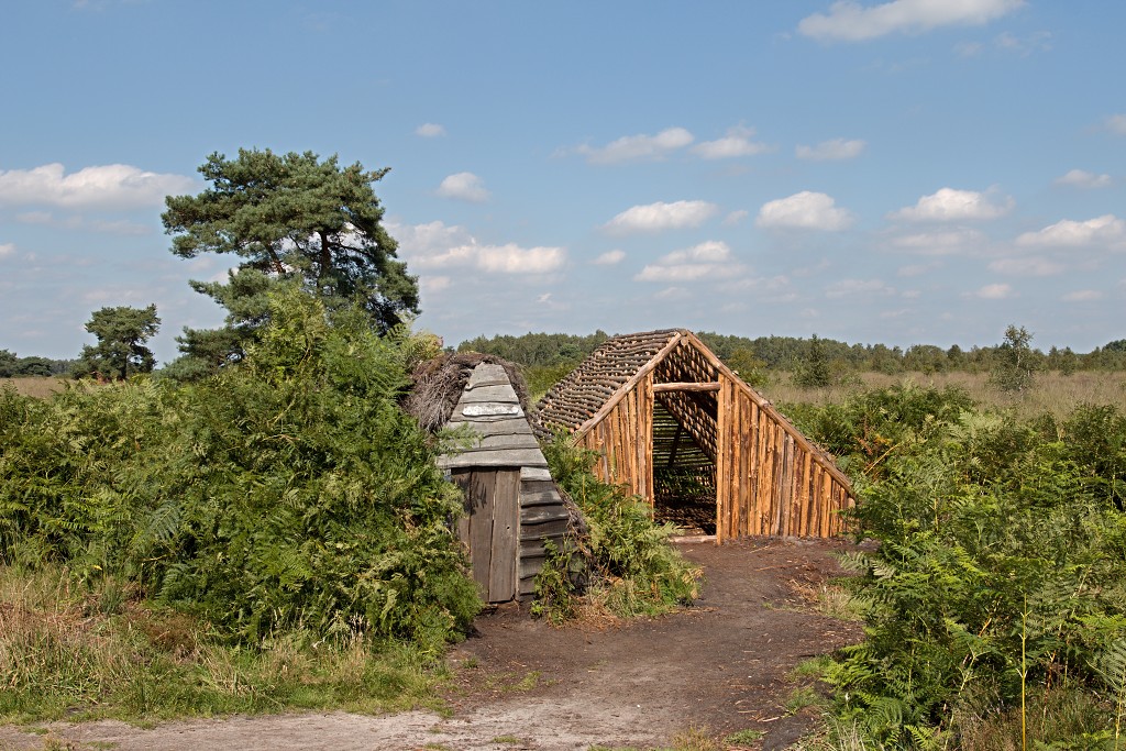 nationaal park de groote peel grote natuurgebied natuur hdr brabant limburg staatsbosbeheer turf veen heide hei bos bossen